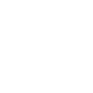 bloc-logo-LNC-blanc